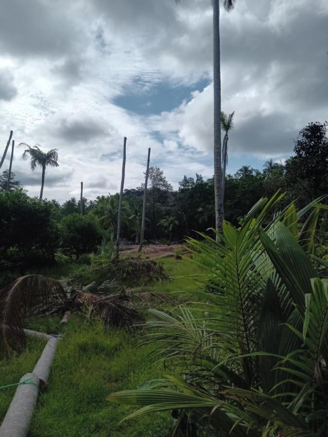 Chom Suan Farmstay Ko Kut Esterno foto