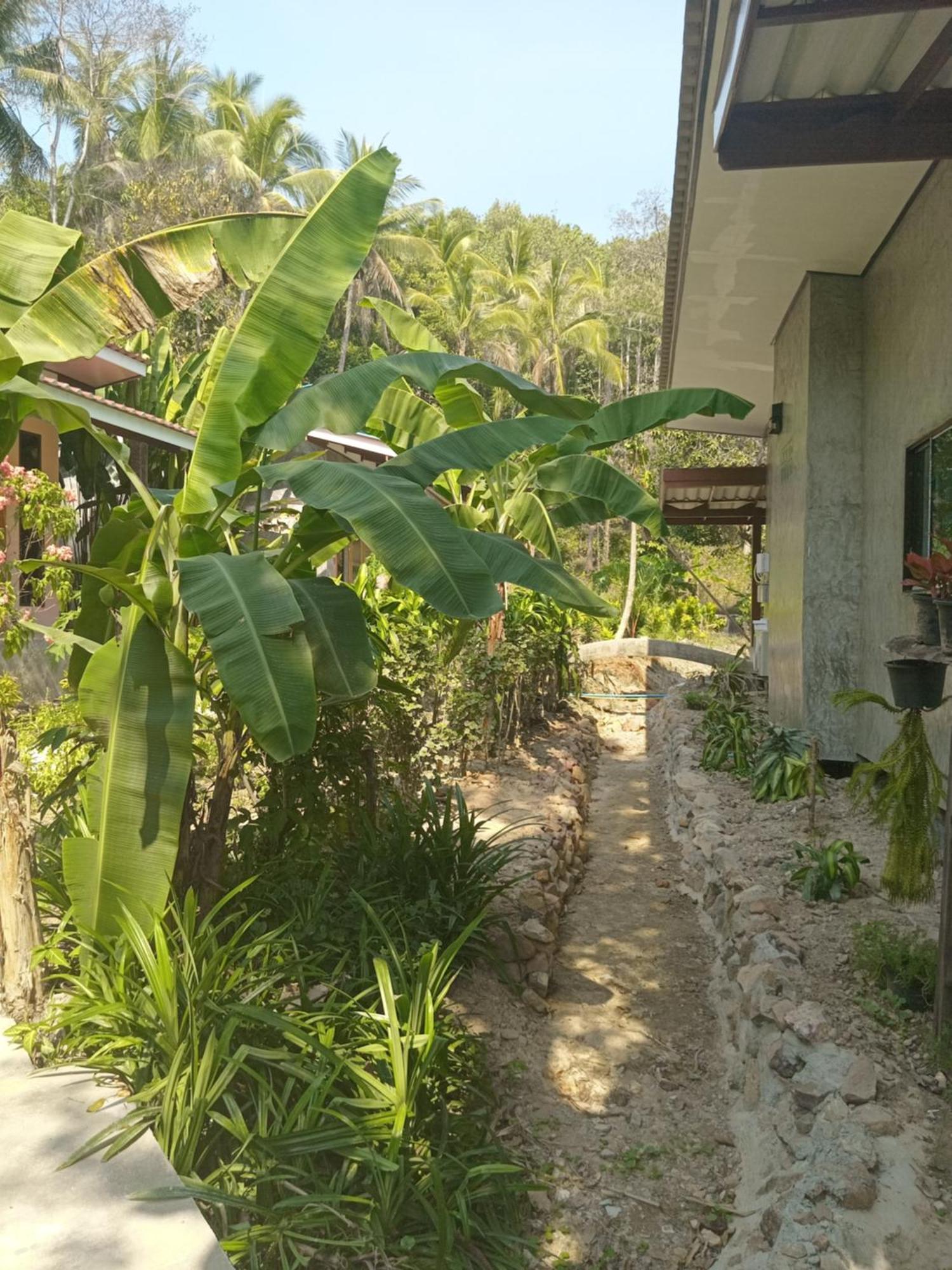 Chom Suan Farmstay Ko Kut Esterno foto